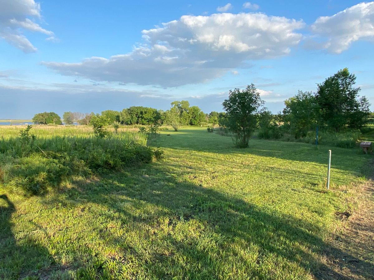 Hole 2 short 2021 summer