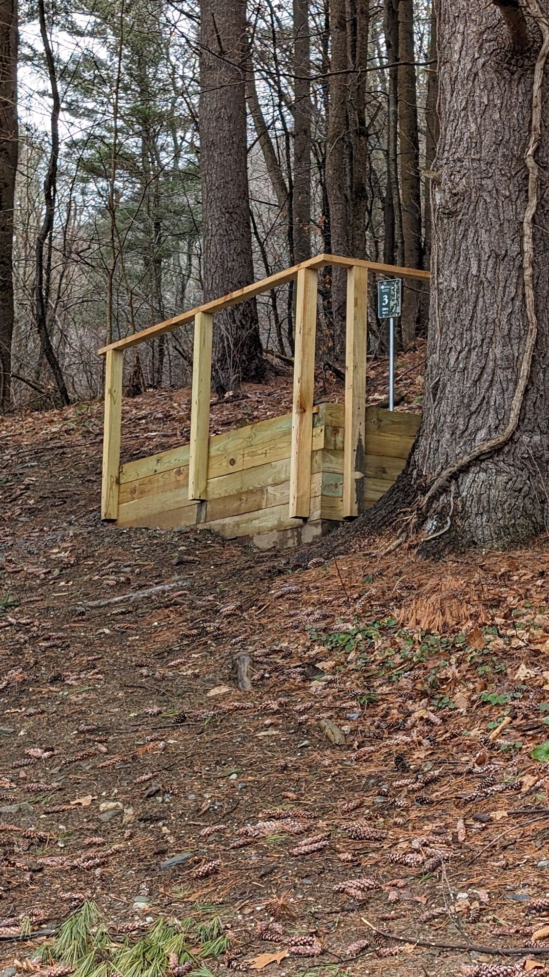 Hole 3 Tee