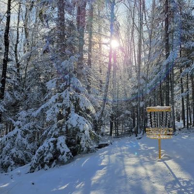 Hole 8 - The Meadow