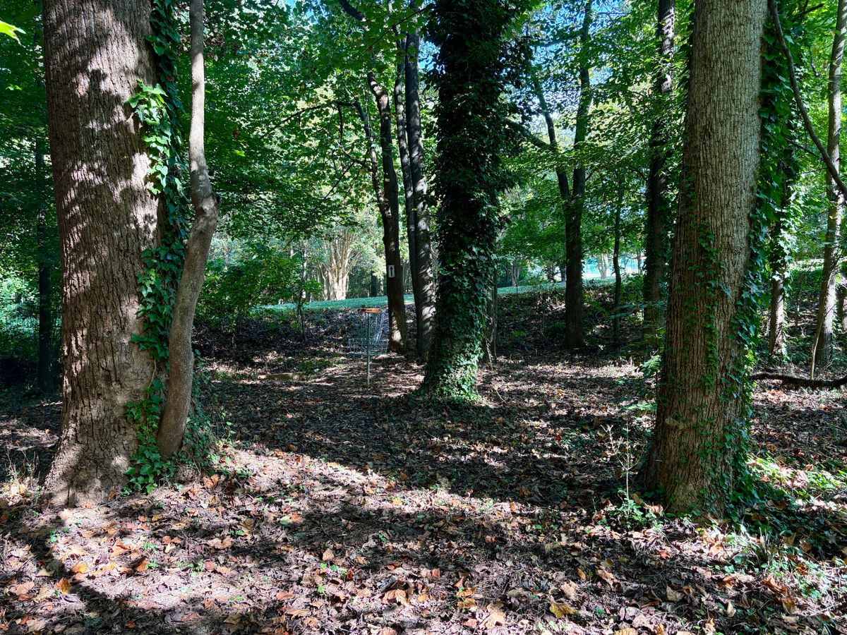 Hole 17 approach