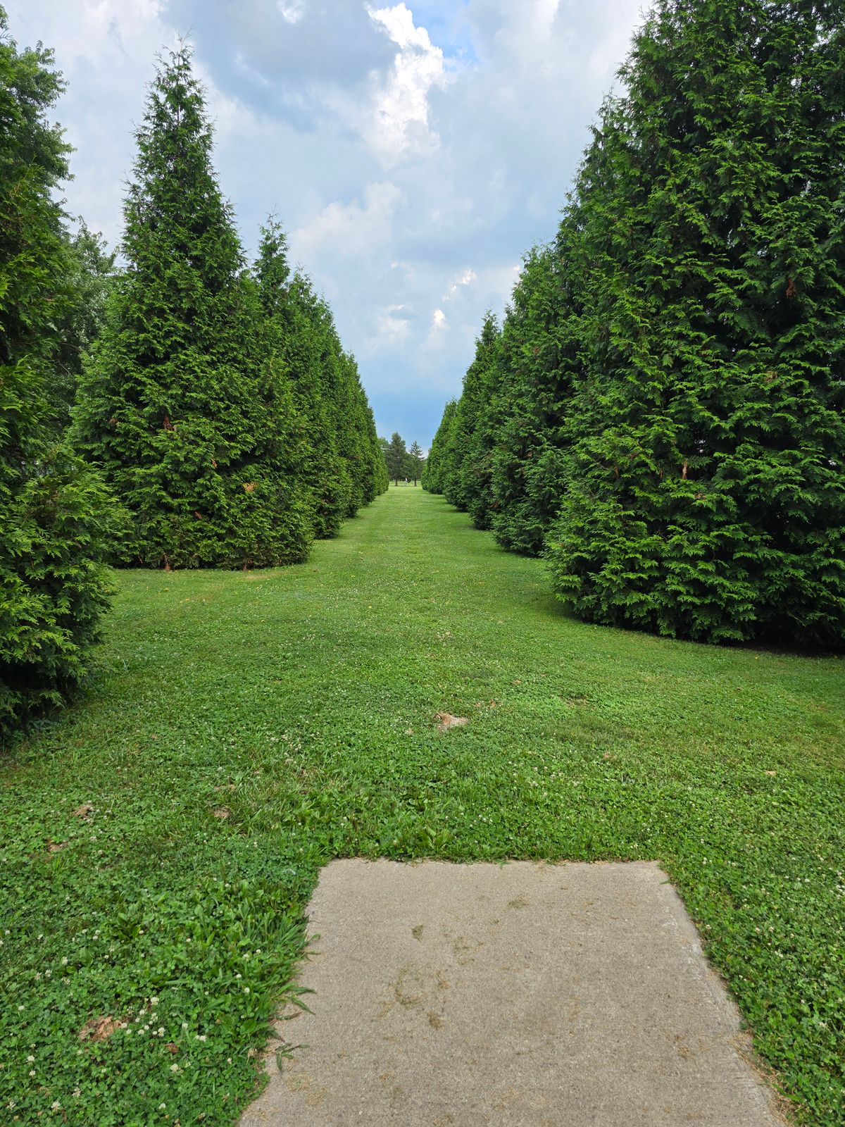 Hole 1