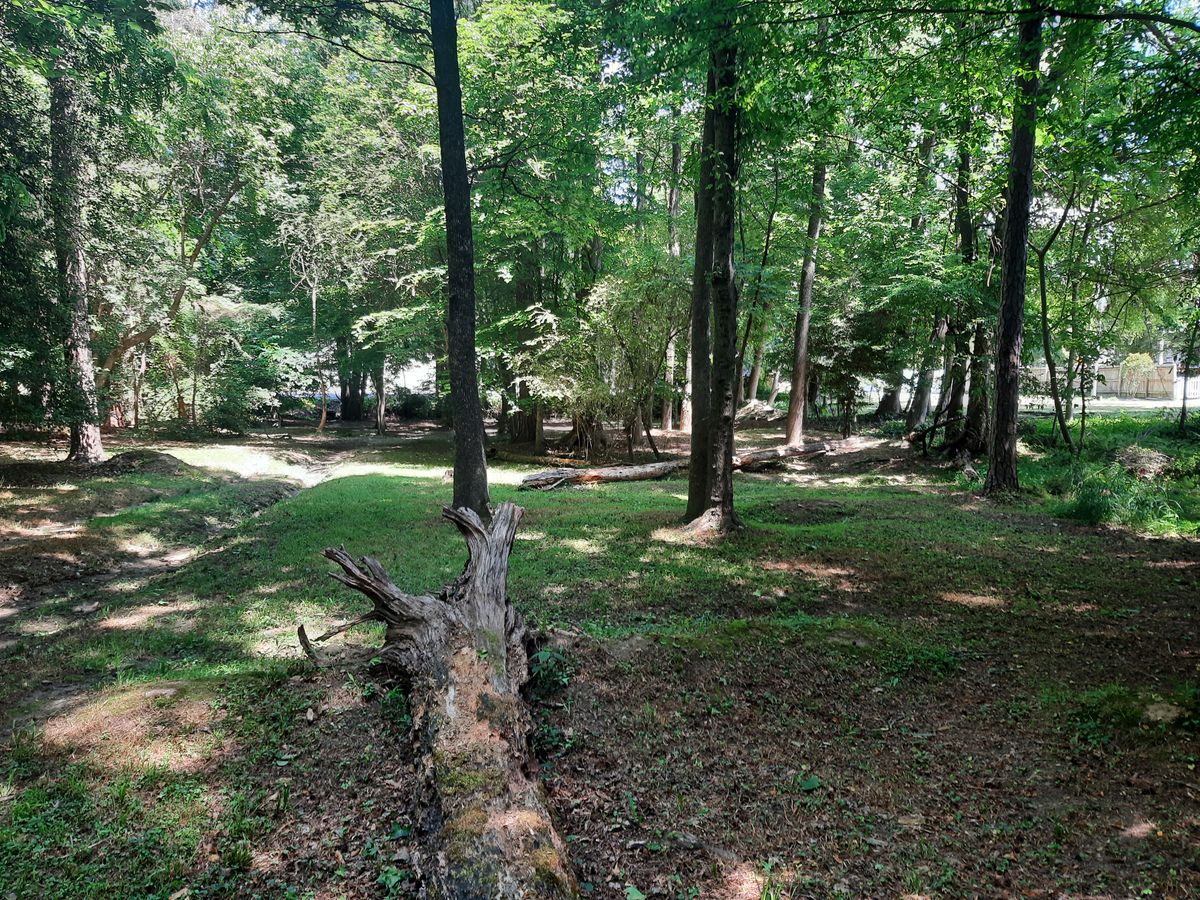 Hole 1 Fairway