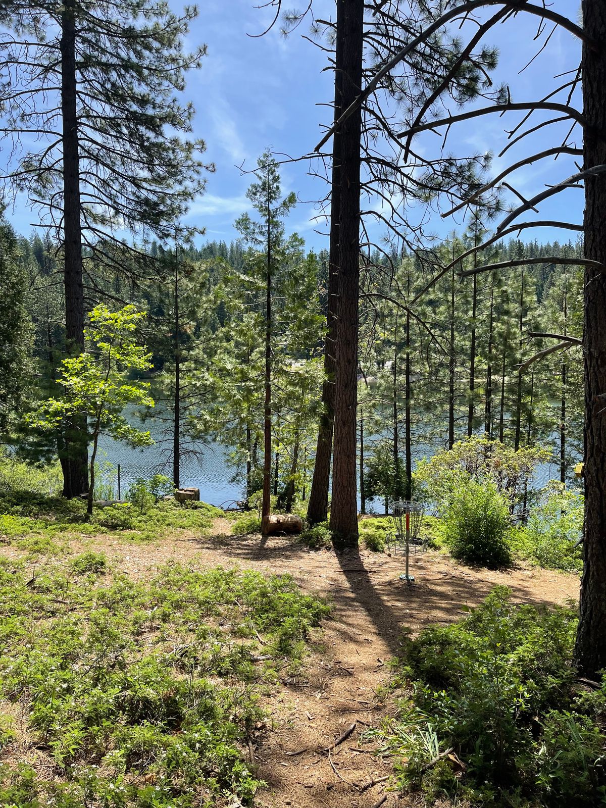 Basket at hole 5