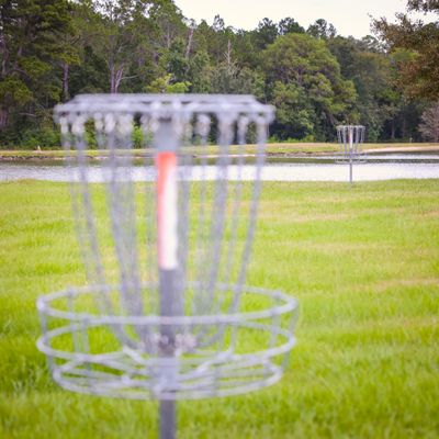 Out of focus is basket 8 across from the in-focus basket #2.