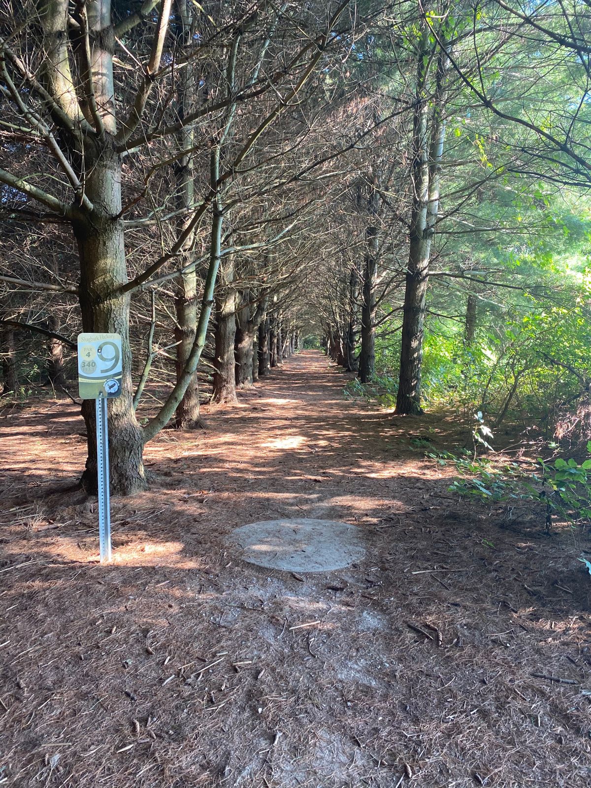 Hole 9 is the course's iconic tunnel shot.