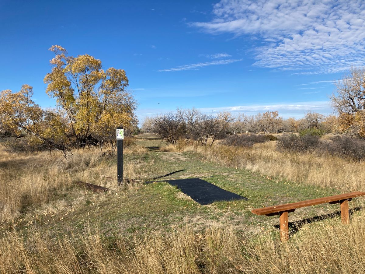 Hole 2 tee area