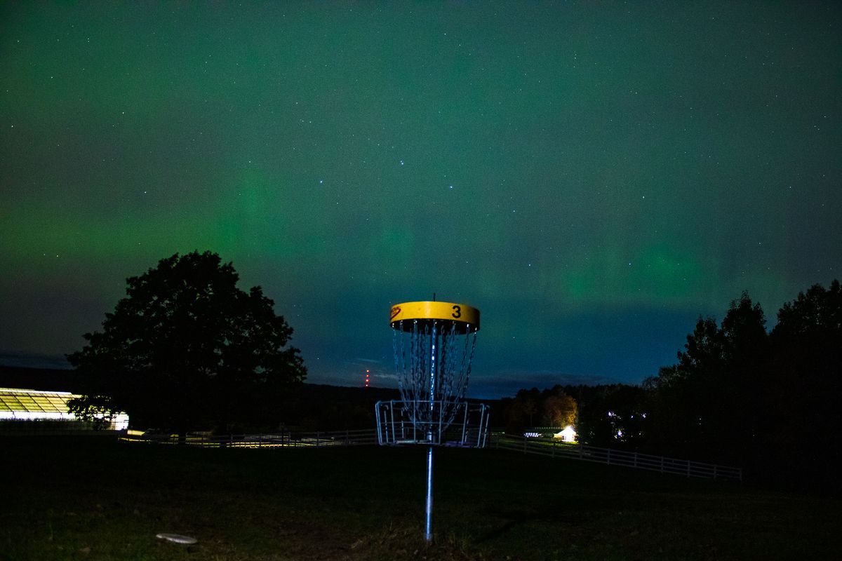 Pineland Farms Patriot