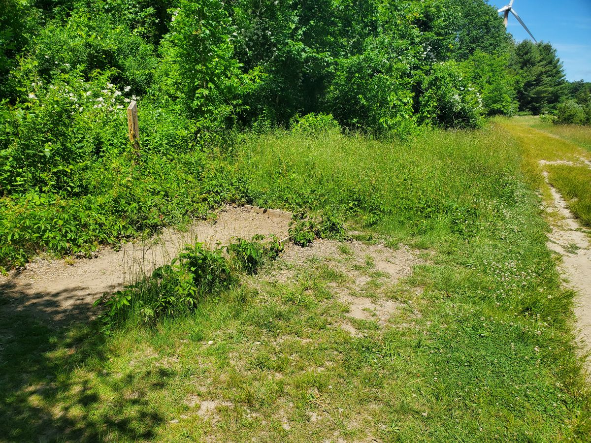 Teebox on 8 is missing sign and is badly overgrown.