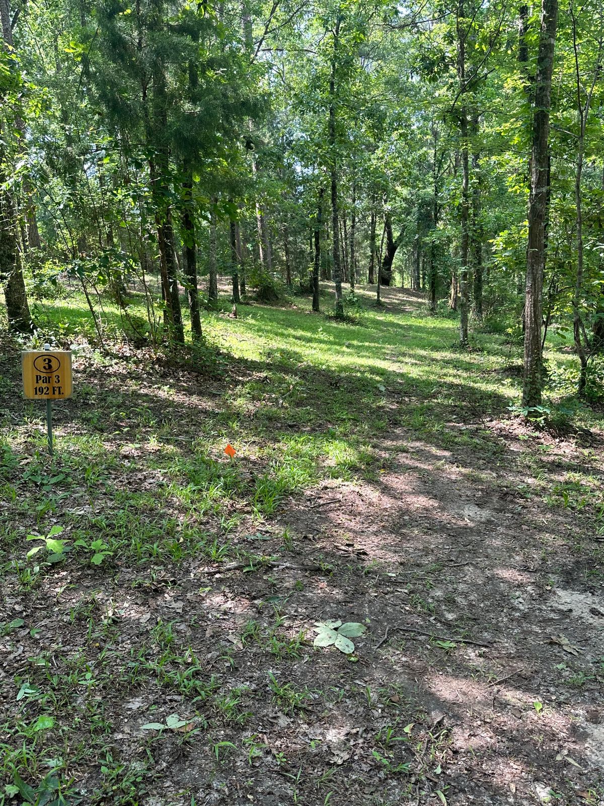 Hole 3 tee