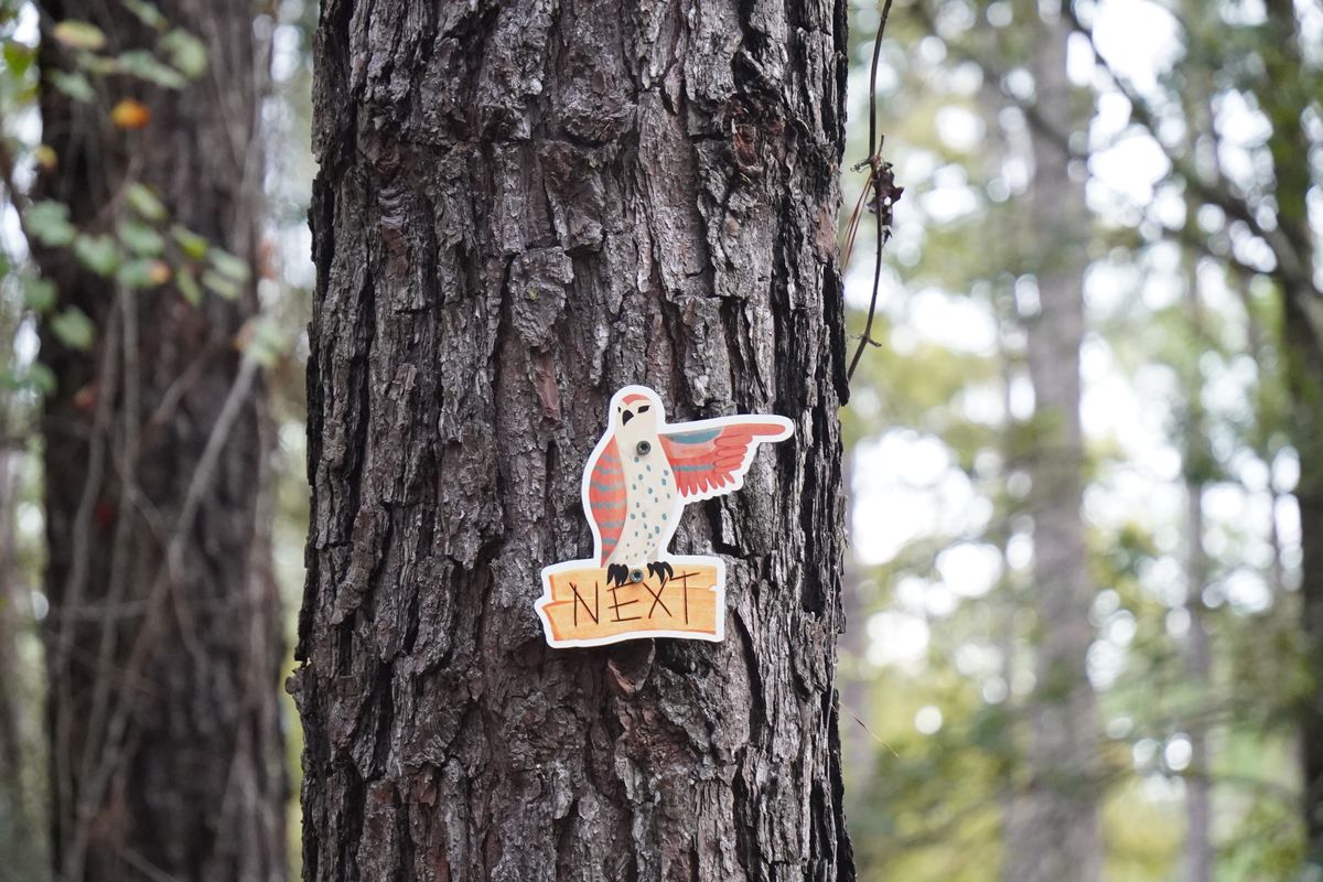 Uniform signs on the trees guiding you throughout the course