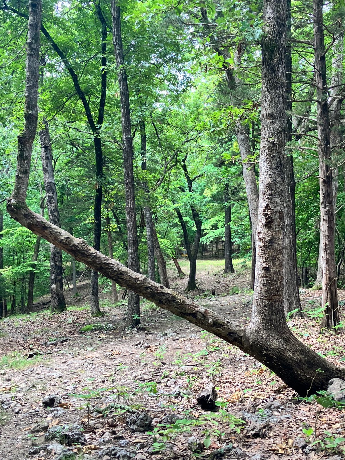 Hole 17