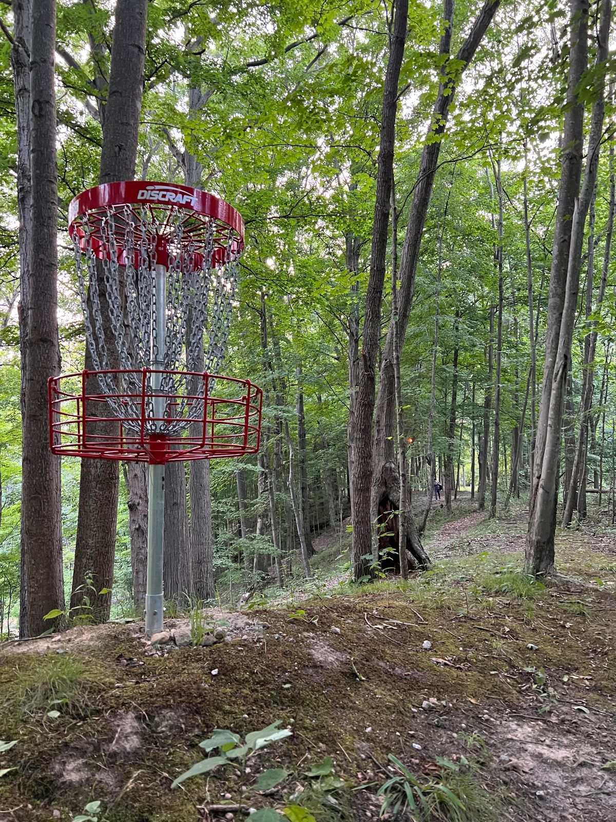 Hole 5 (red)