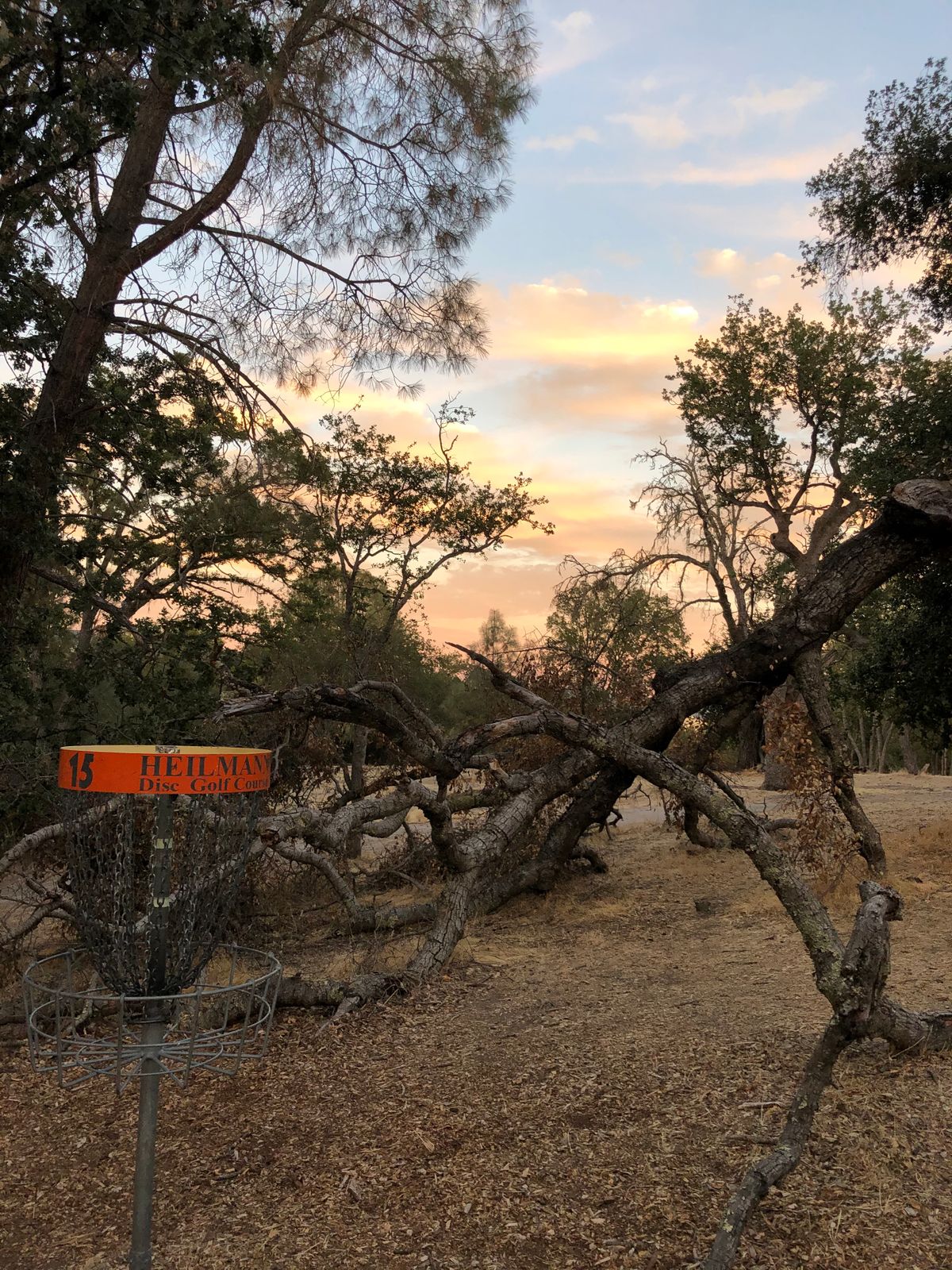 Hole 15