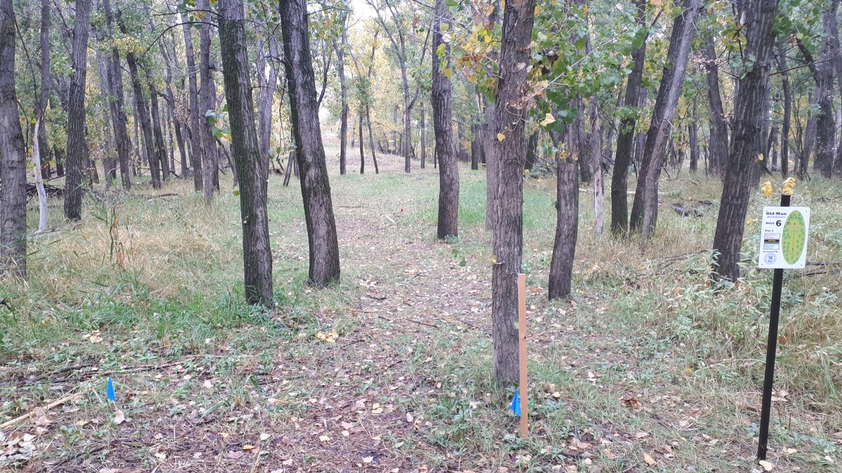 Hole 6 tee shot. Tight gap early and late. Shorter hole.