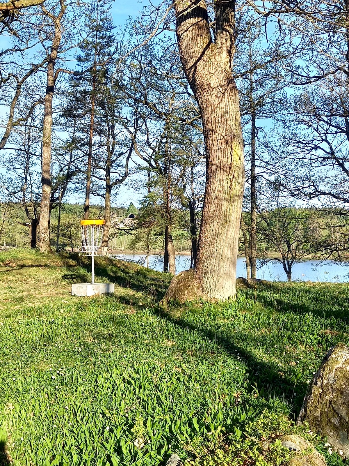 Härlig miljö bland ekar