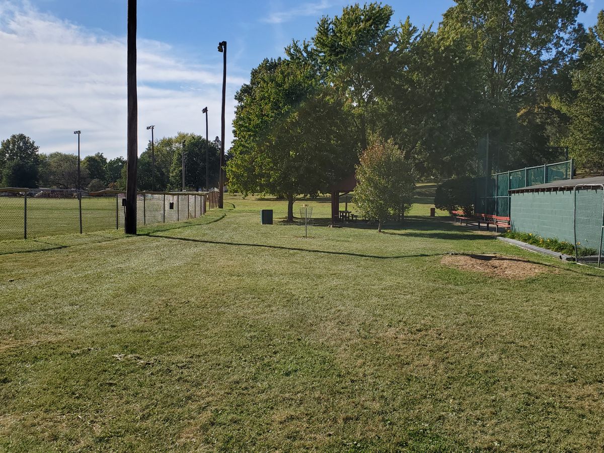 Hole 8 basket right between two baseball fields