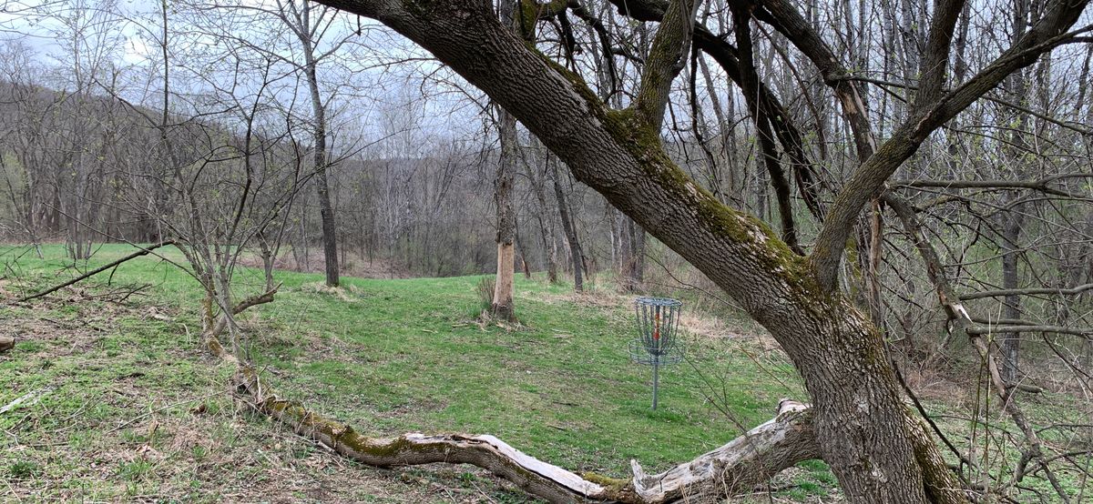 Looking back at 15 tee from behind basket.