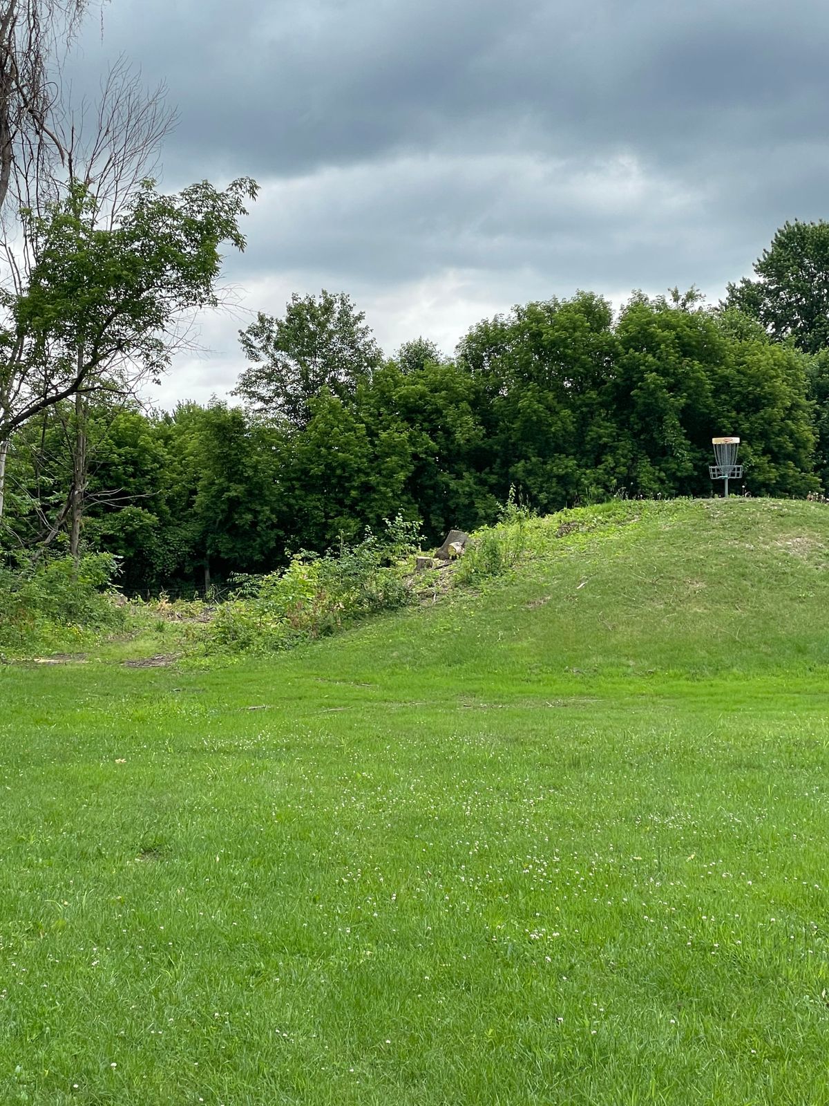 Hole 9, on backside of hill.