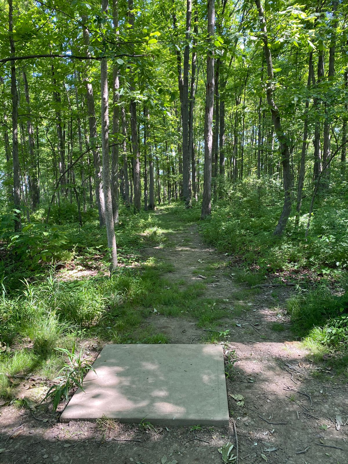 Hole 4 (Tee Box)