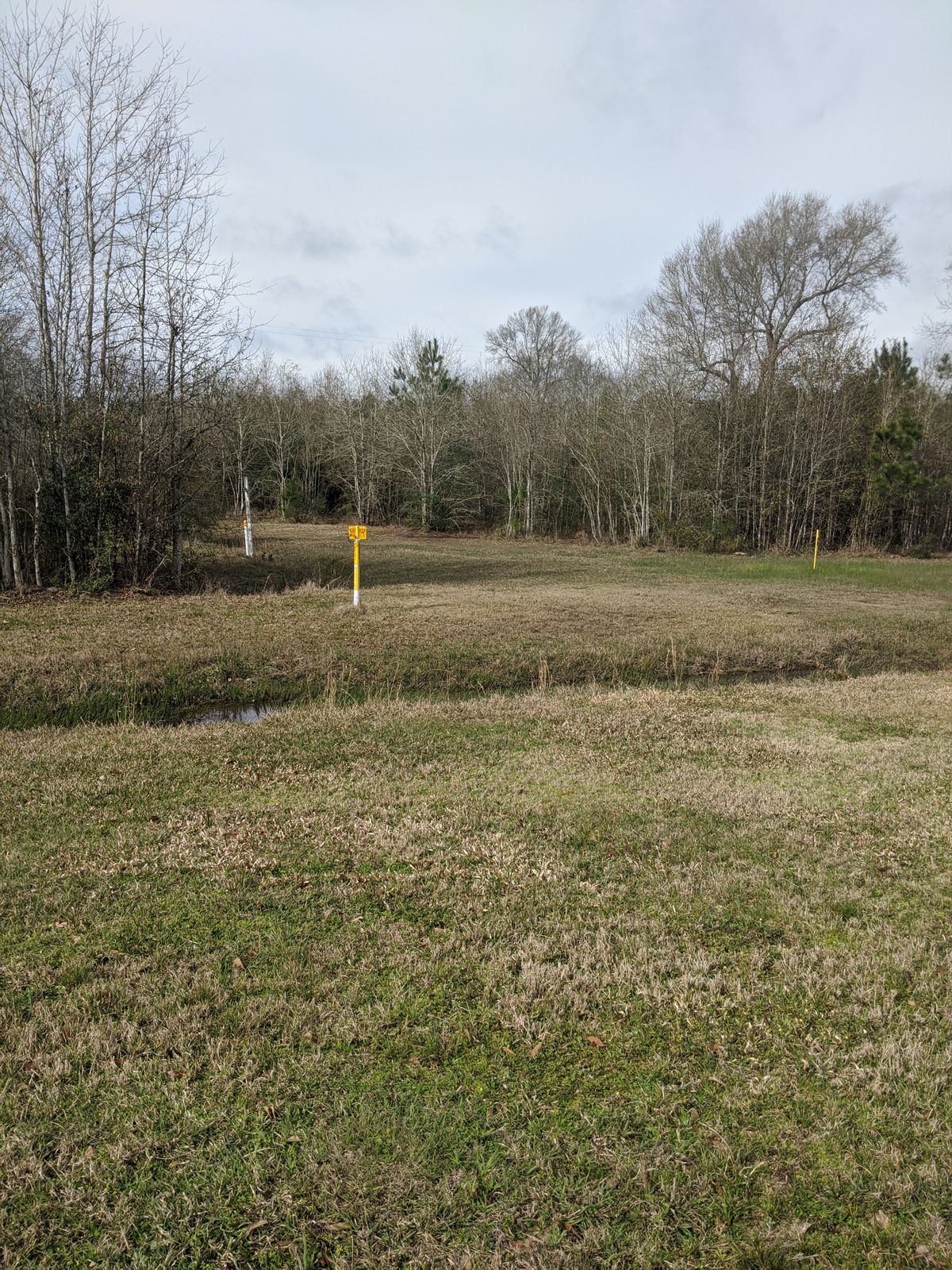 Hole 2 Fairway