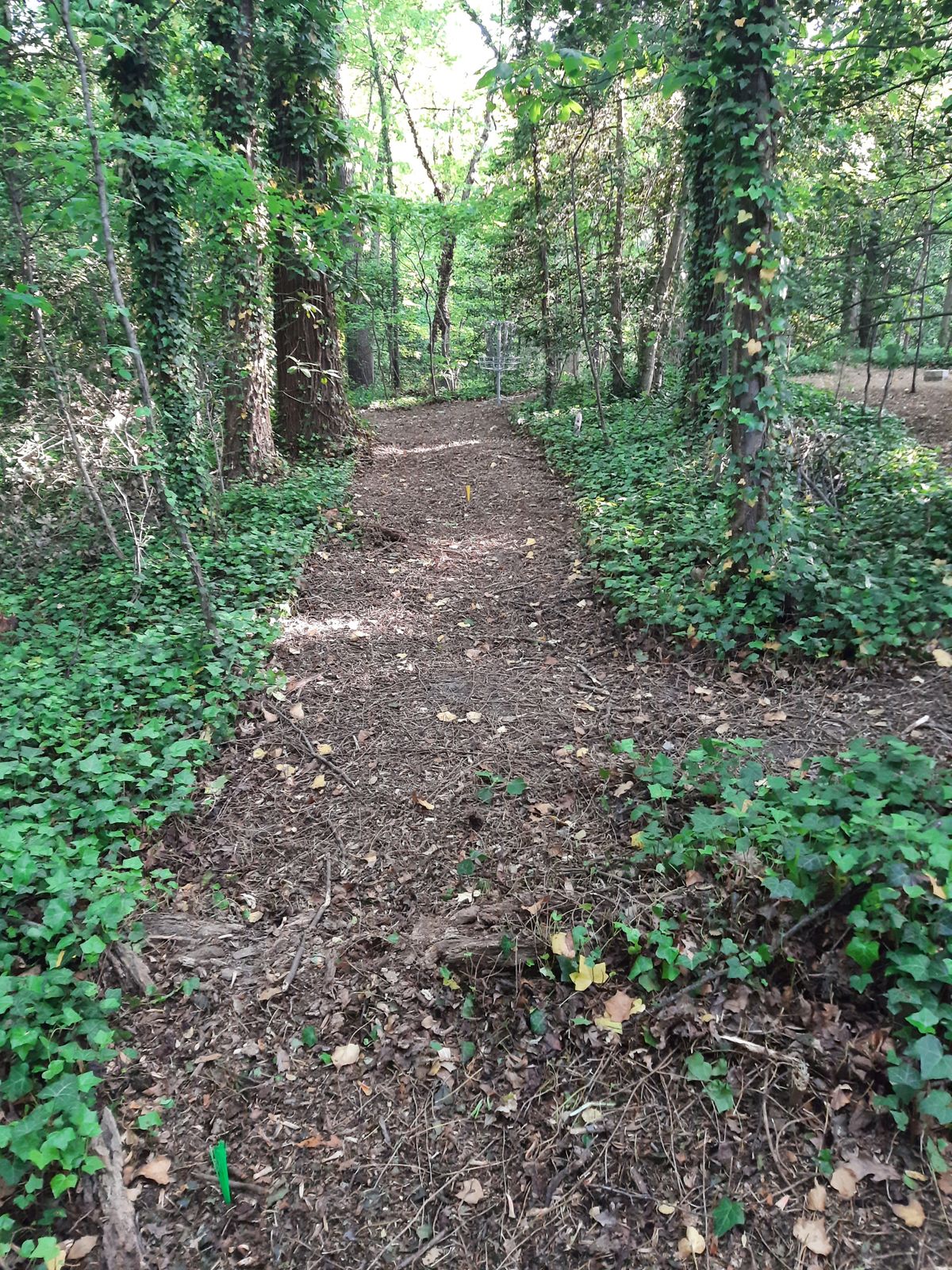 Hole 20 Red Tee