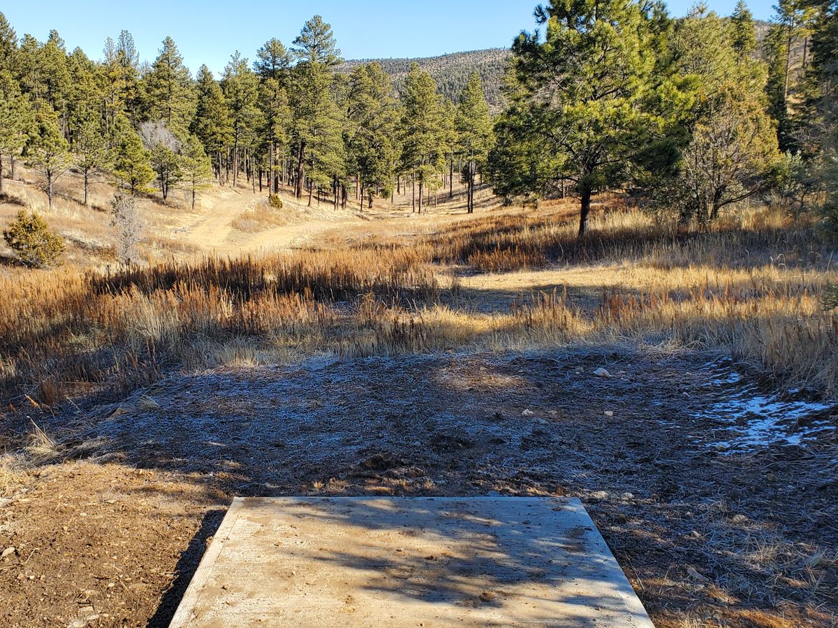 Hole 17 tee