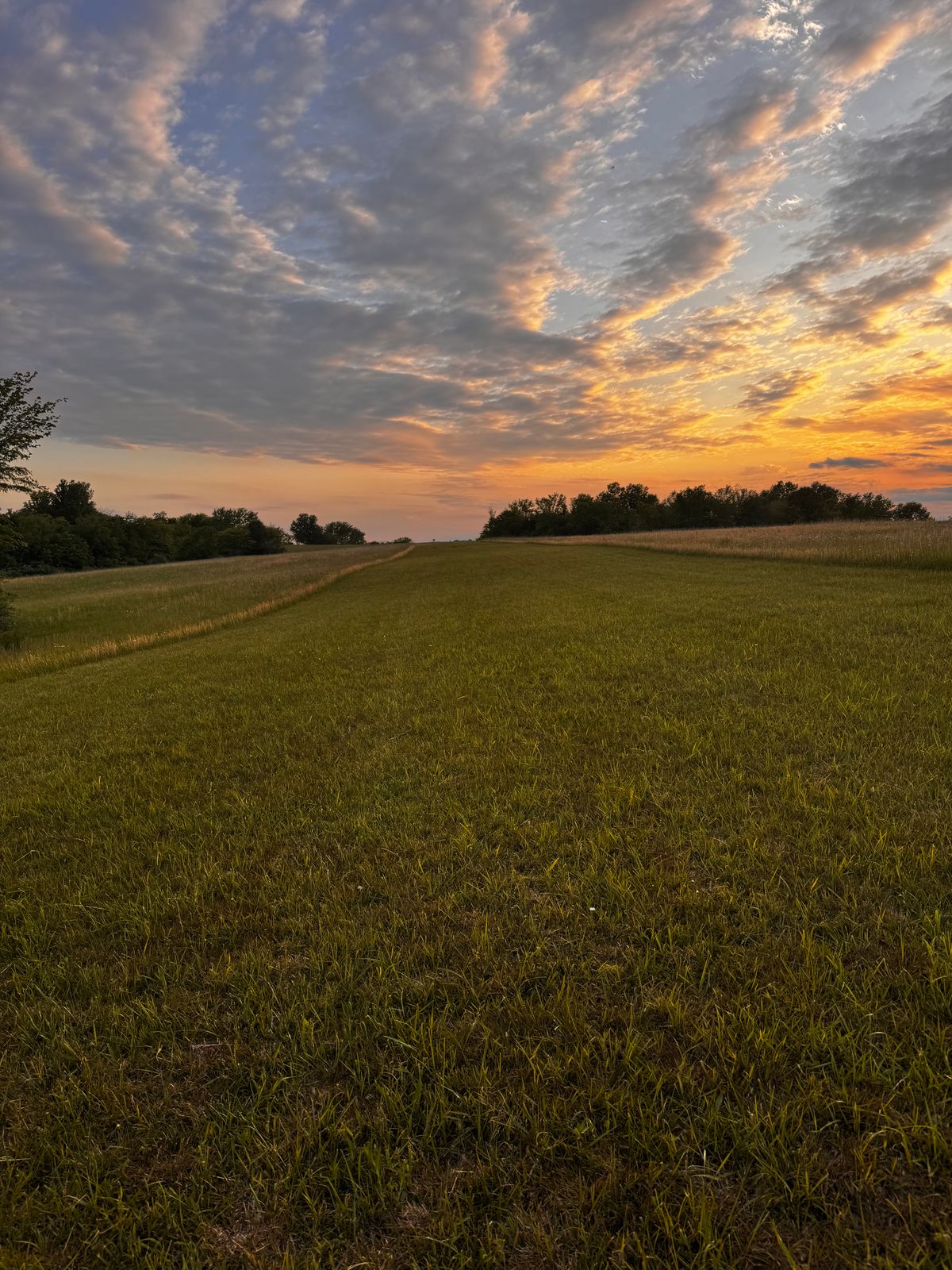 700ft fairway with rough ether side