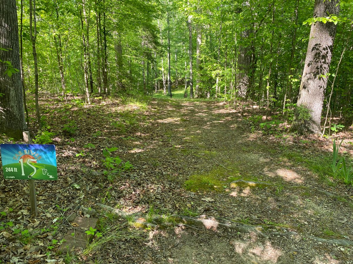 Hole 15
