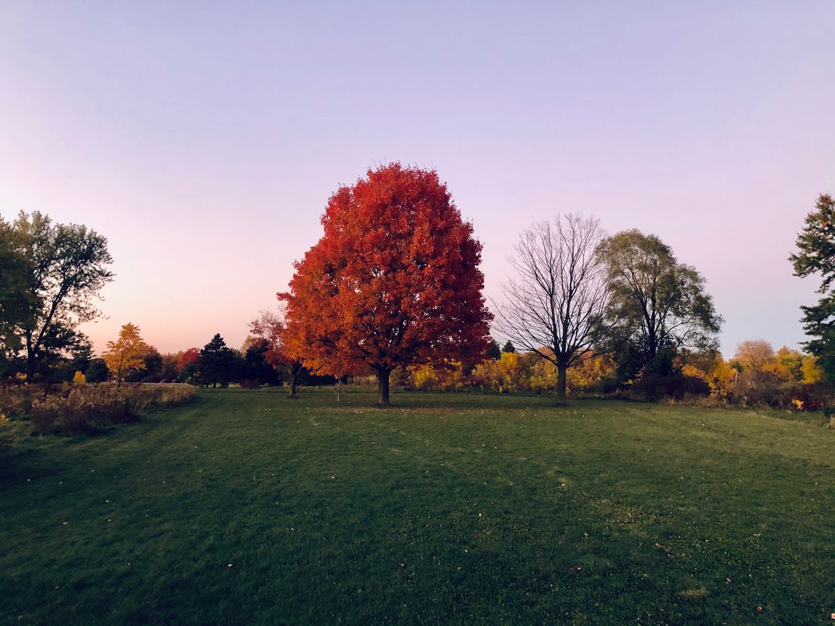Hole 26. “The Dichotomy”
