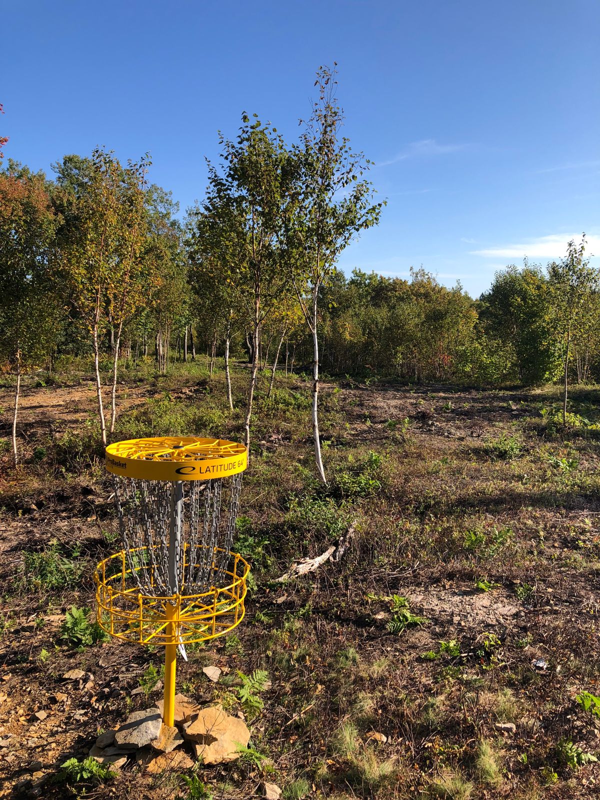 View from basket Hole 13