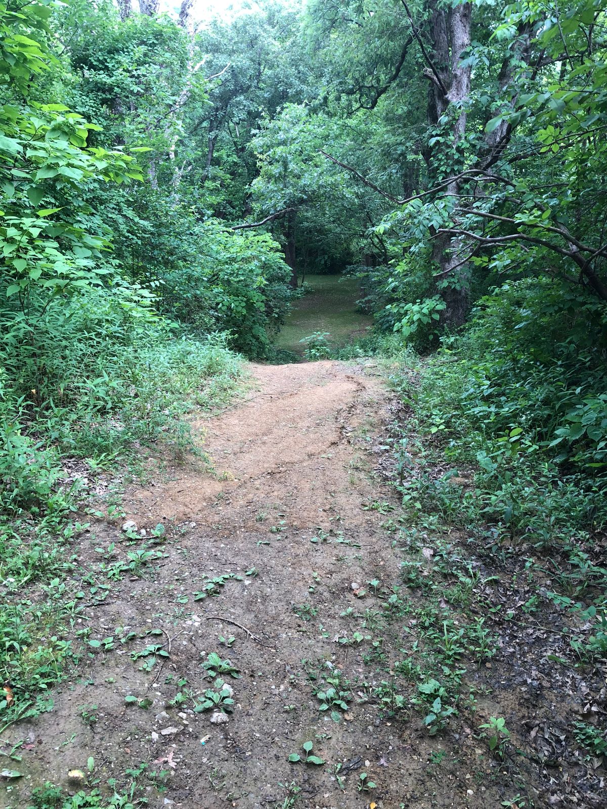Throw straight down a 100 foot drop. Very slick and unsafe slope. Beware!