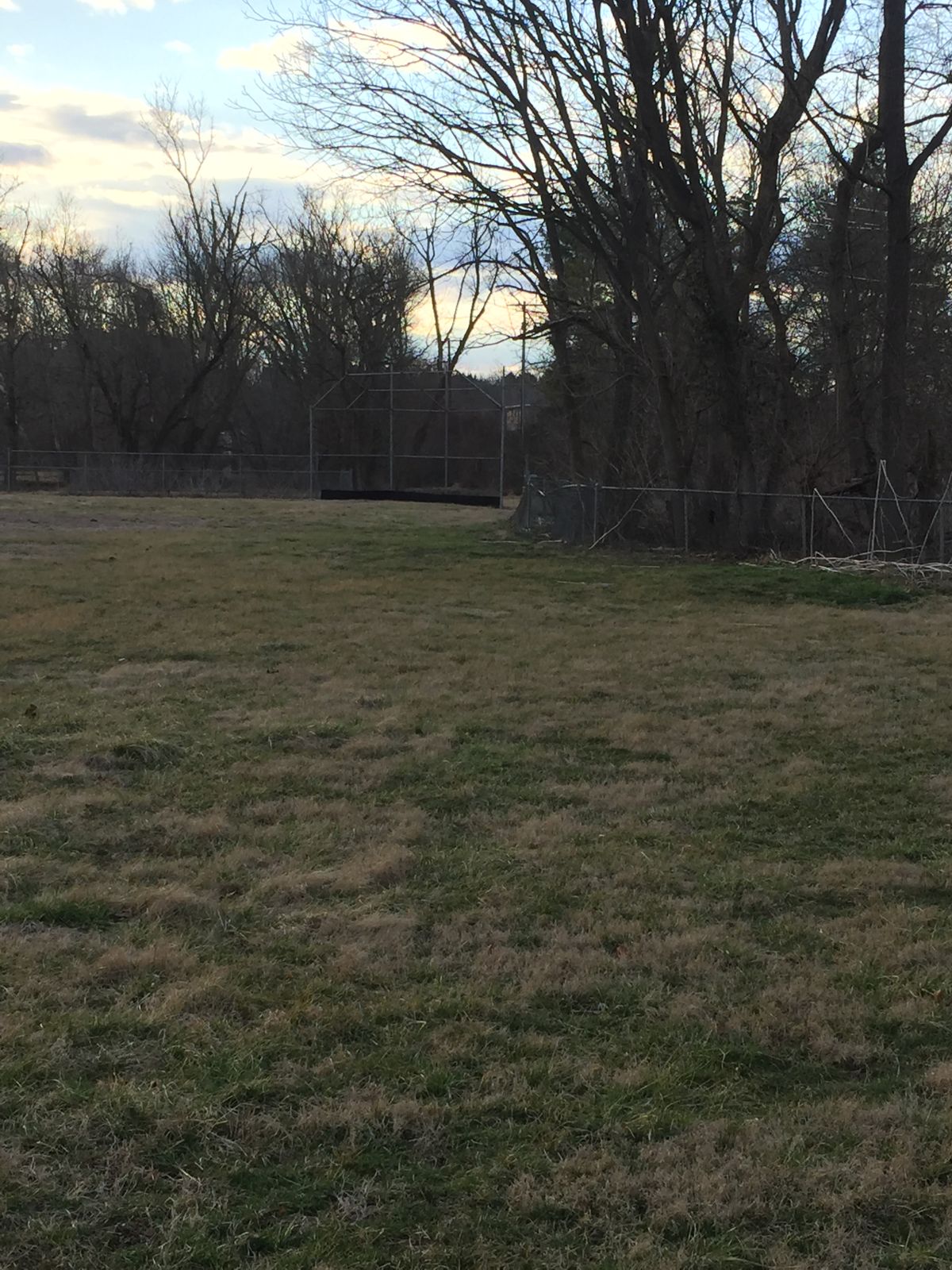 Hole 15 - the baseball backstop makes an approach challenging.