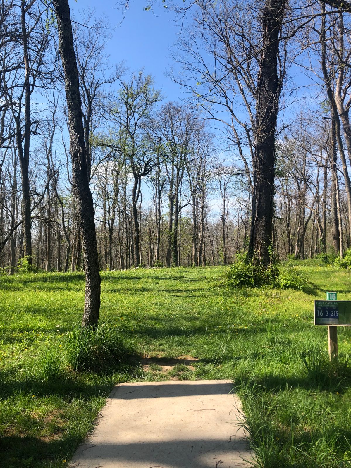 Hole 16 tee