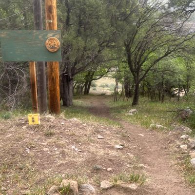 Hole #3 is a straight tunnel with a putter.