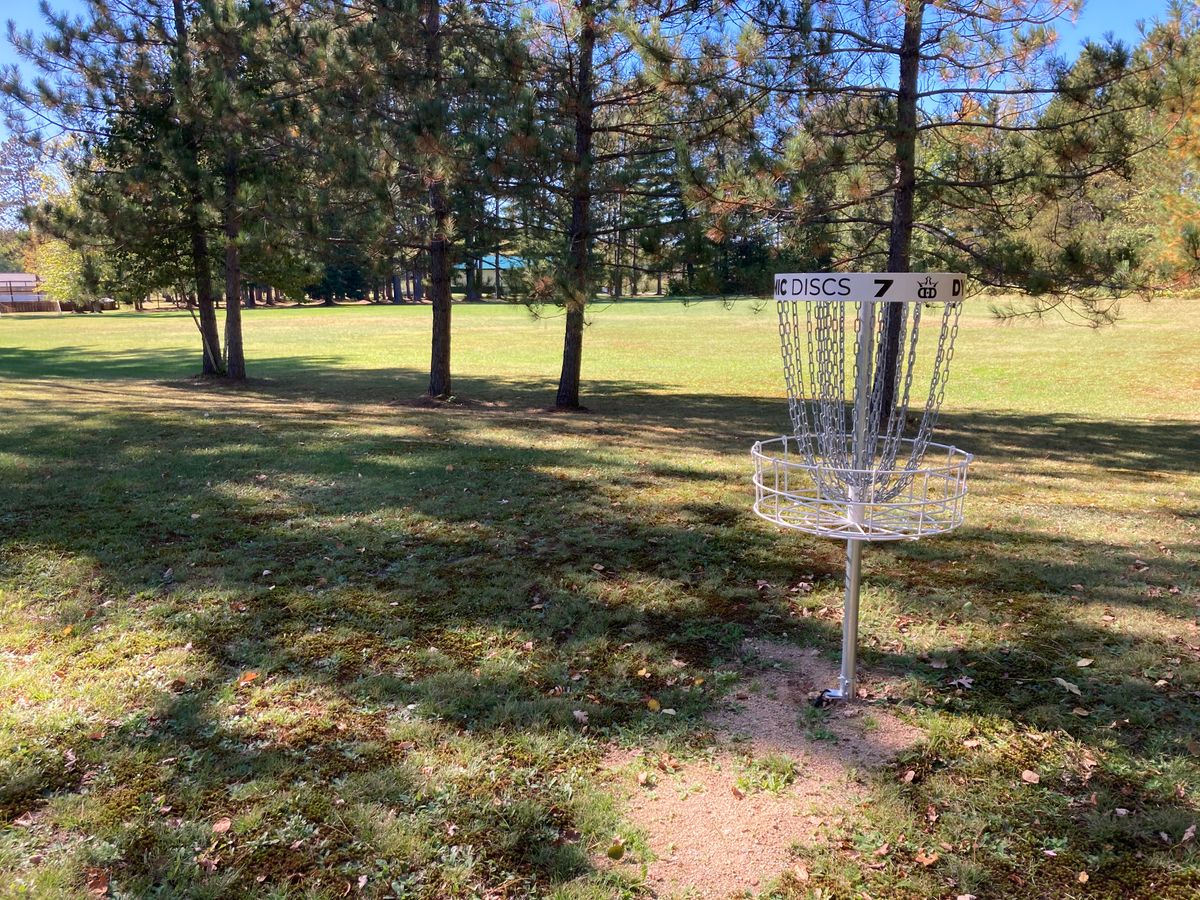 The Hole 7 basket is to the right in the clearing.