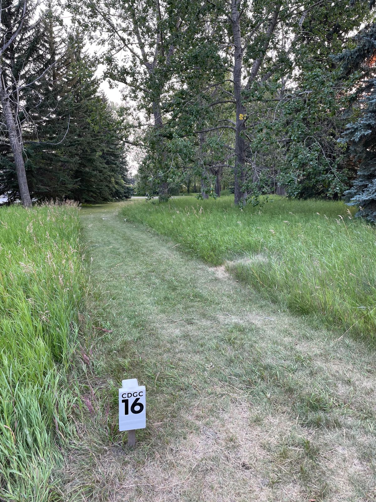 Hole 16