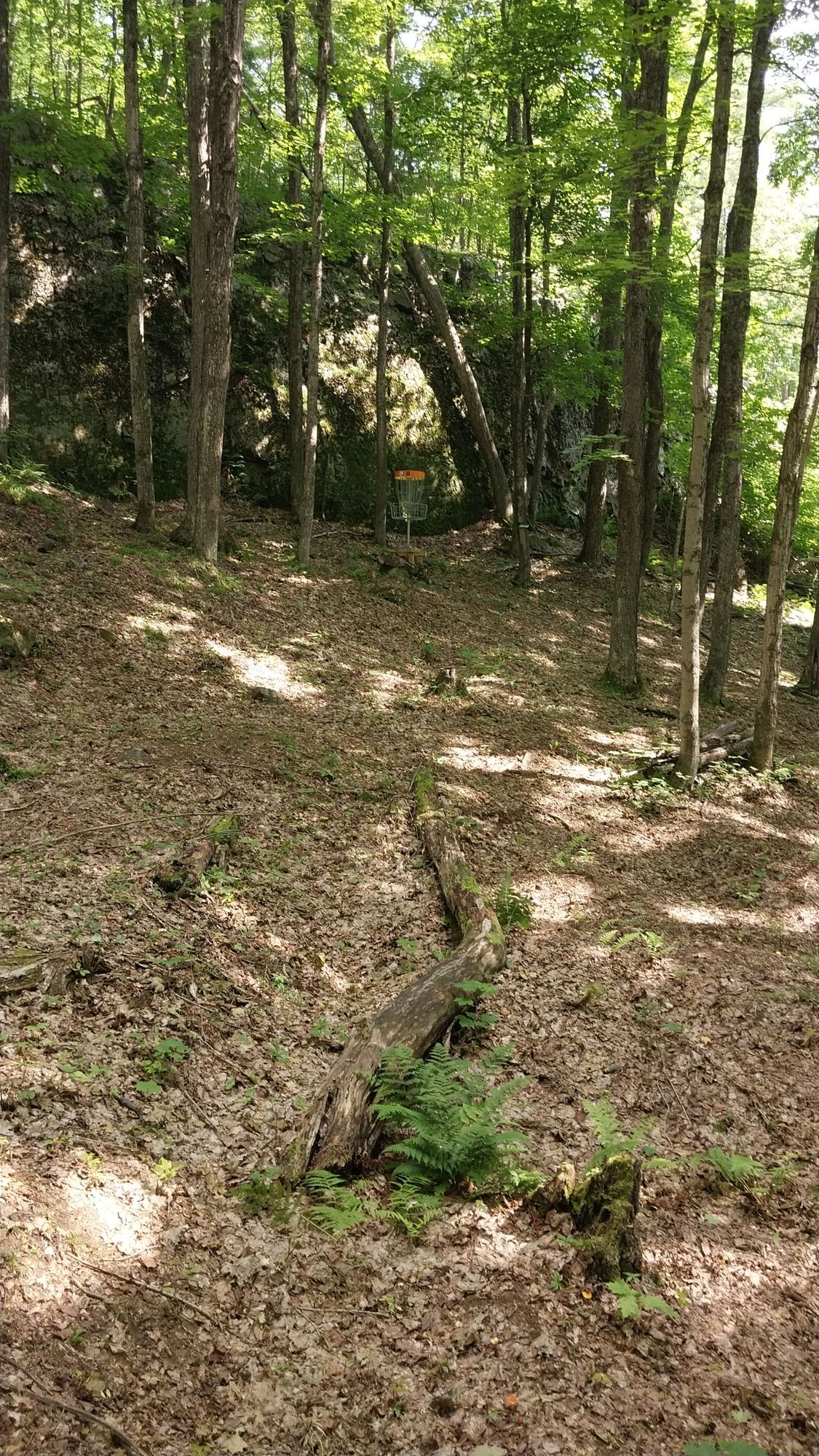Hole 8 long