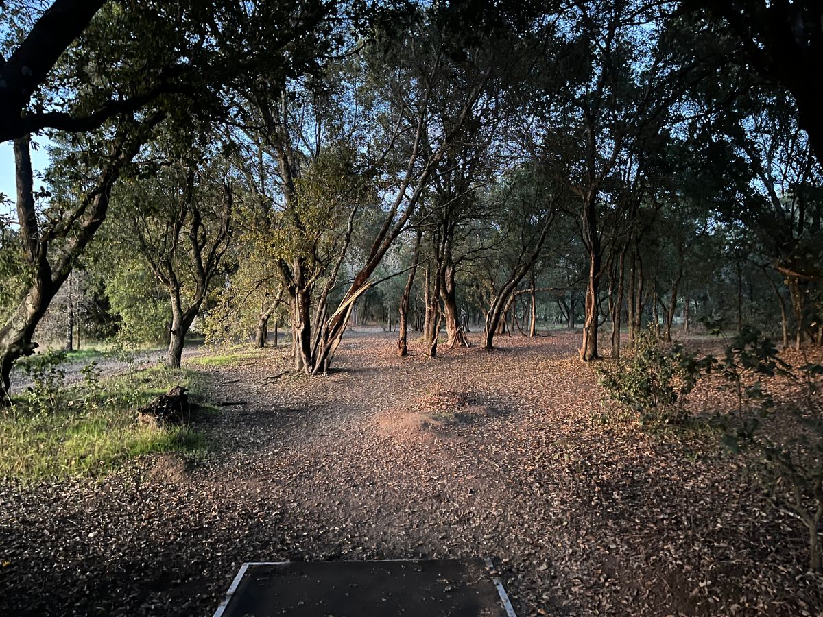 Hole 8 at dusk