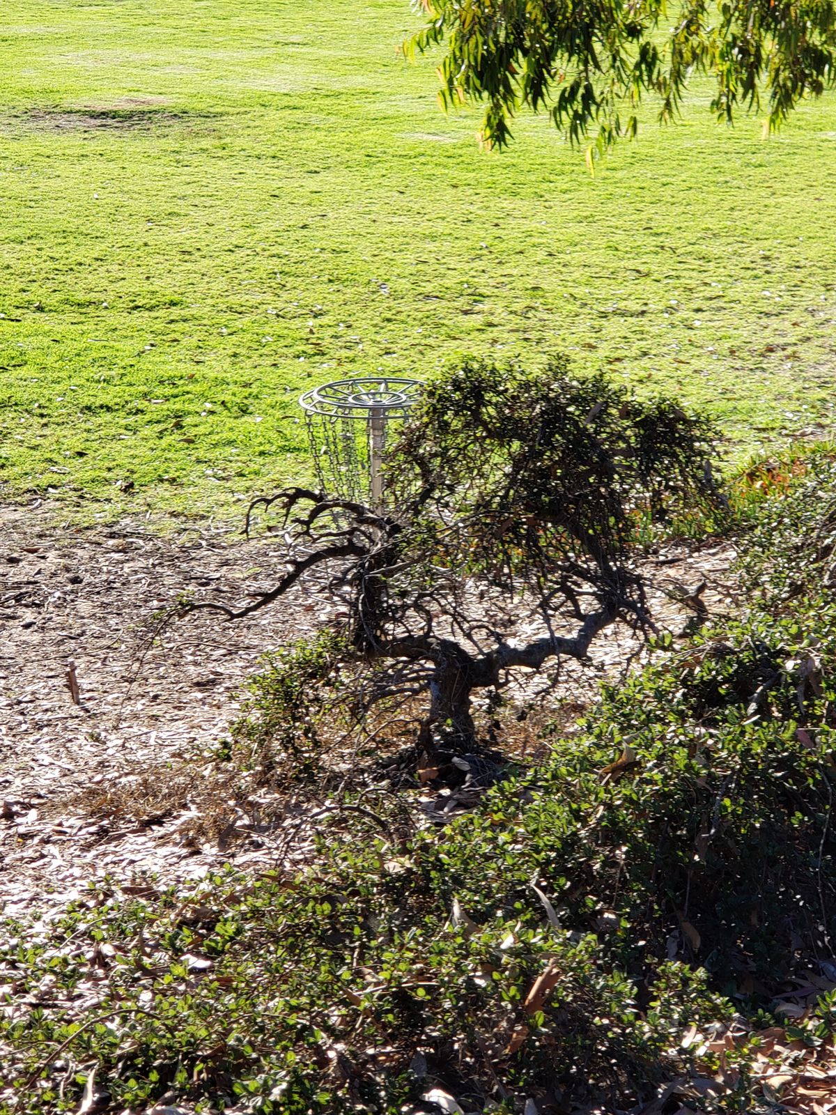 Hole 8
