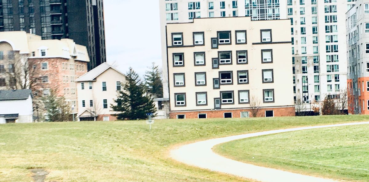 Upshot to basket 1. 🇨🇦🕋🇨🇦🏢🇨🇦