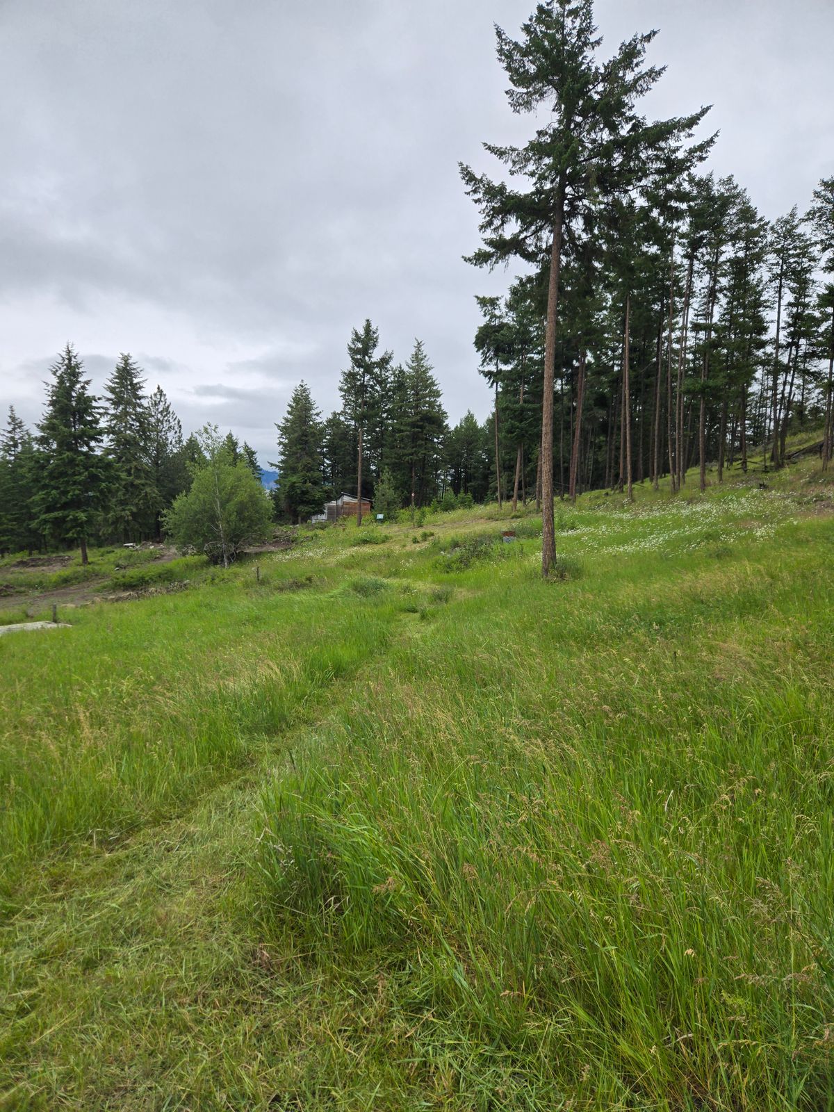 3 Fairway from Blue tee