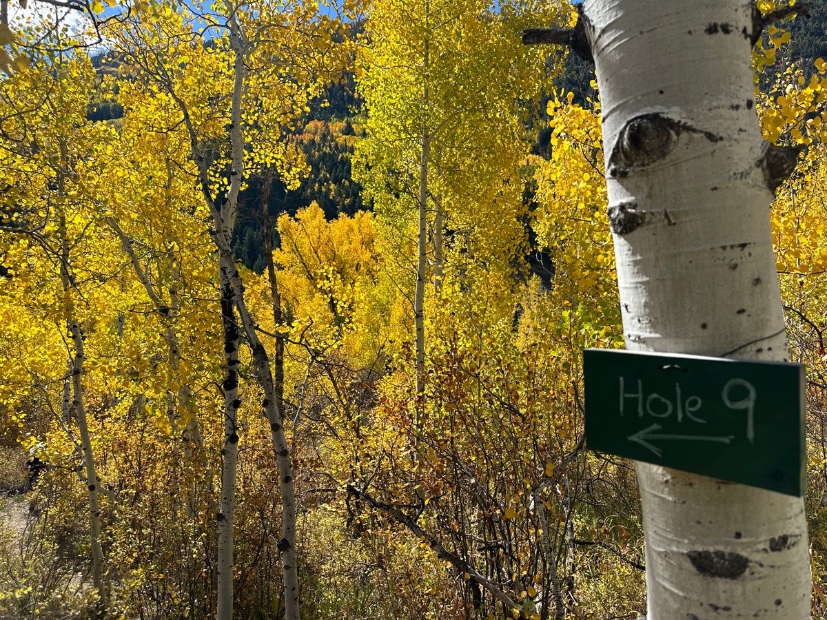 Hole 4