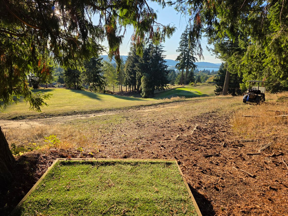 Hole 18 guarded basket