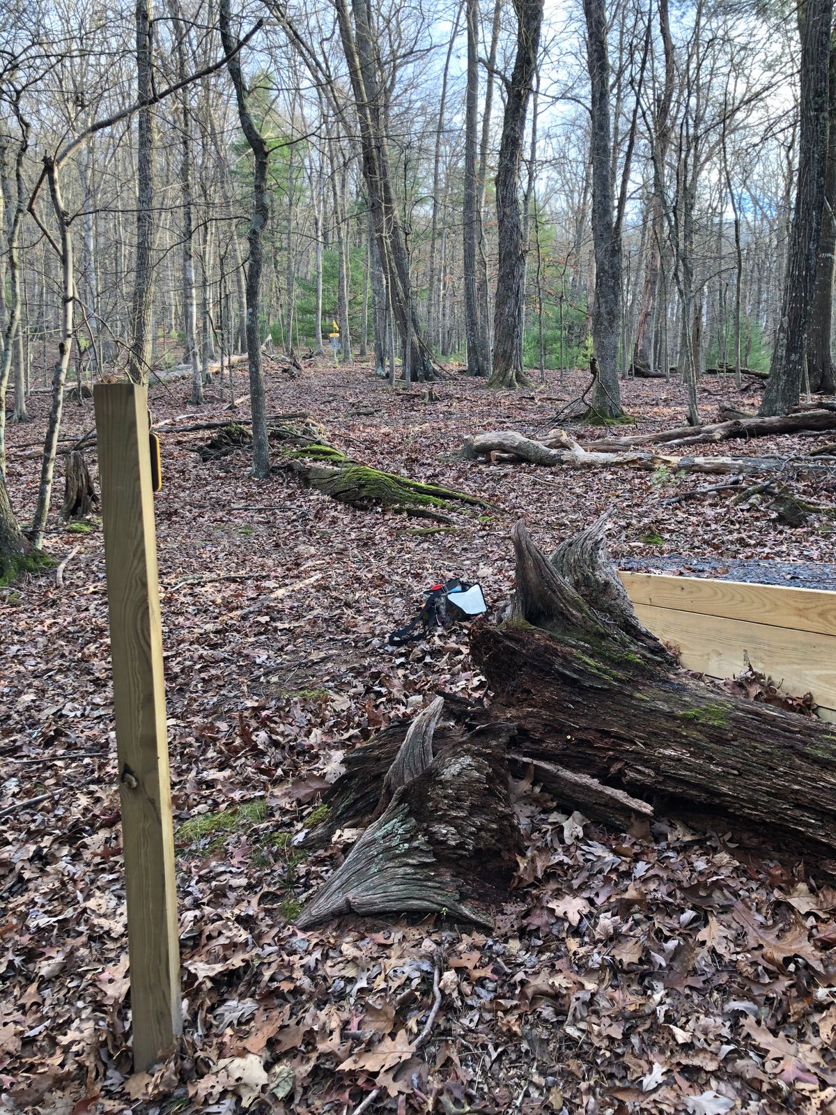Tee Box 5 - drive is uphill