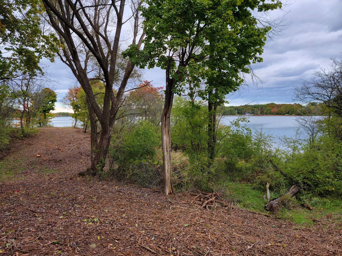 Hole 6 fairway