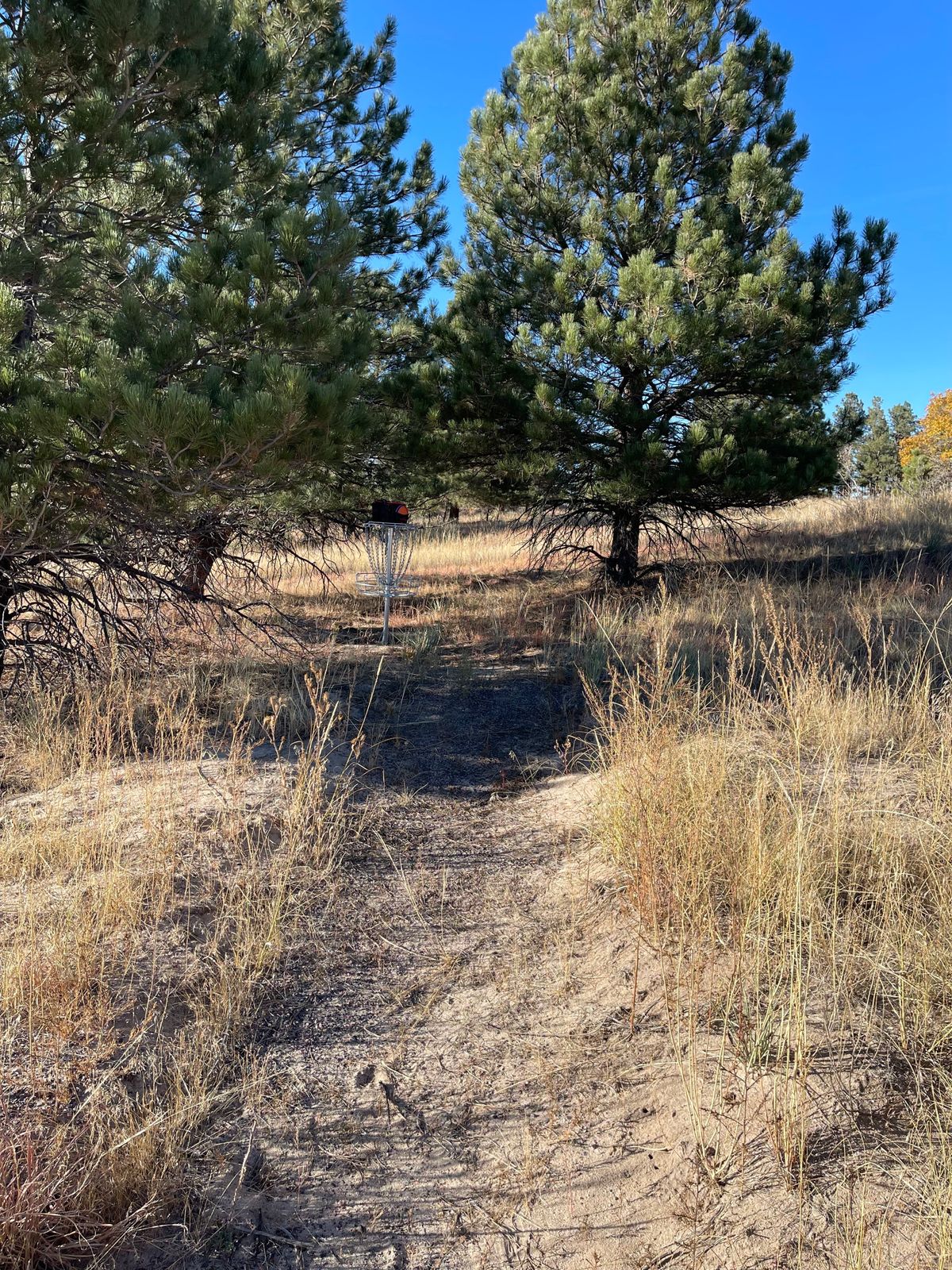 Approach on on 6th. Basket in trees.