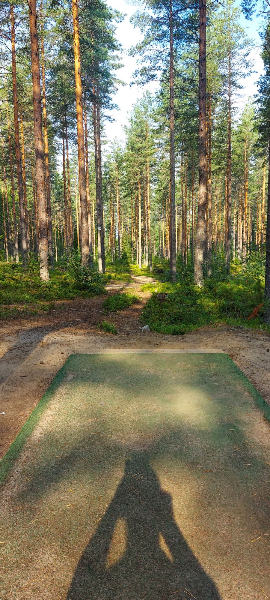 Tee 5