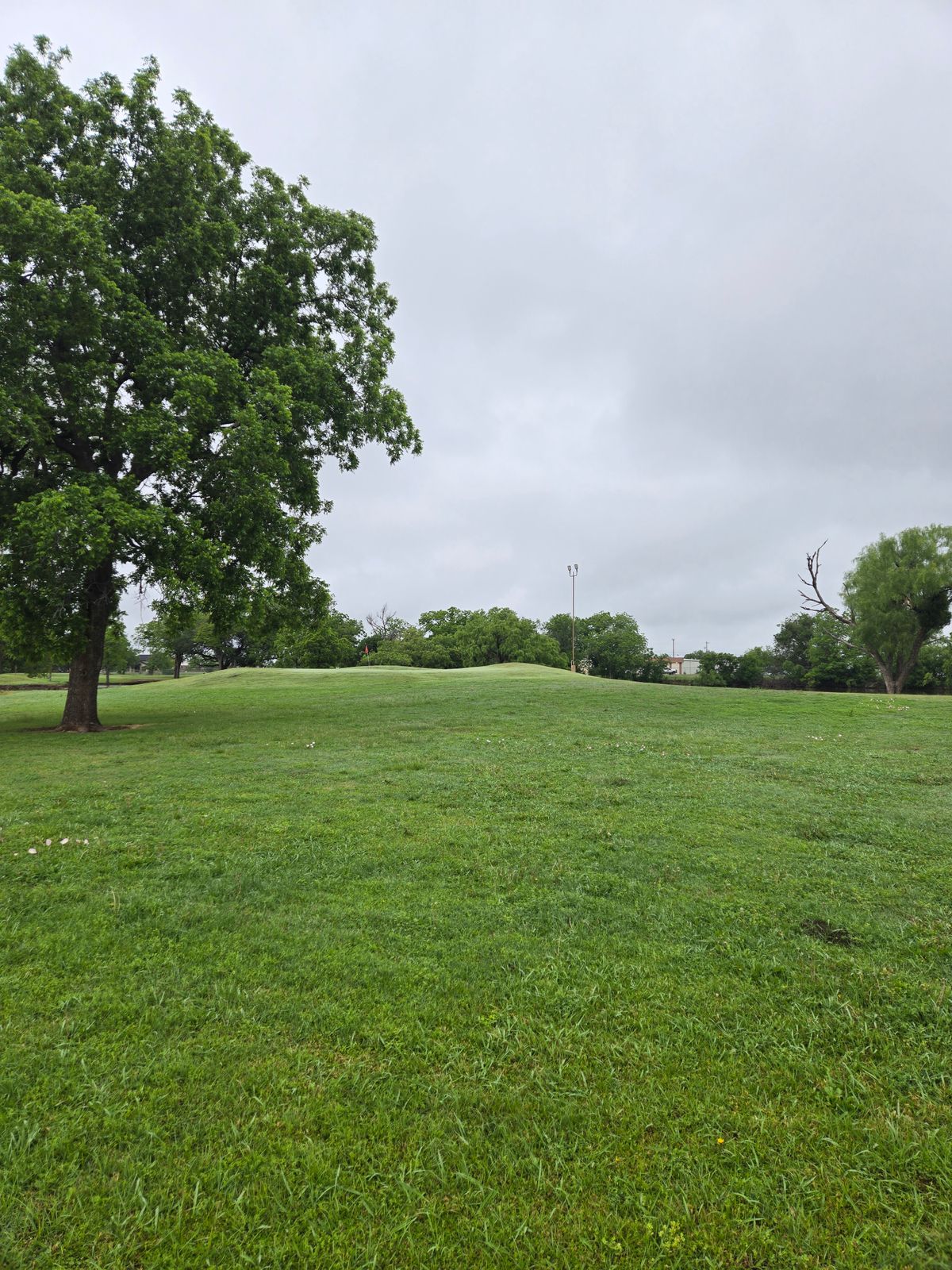 Hole 2 Tee
