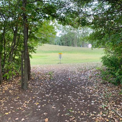 Hole 5 brush cleared out