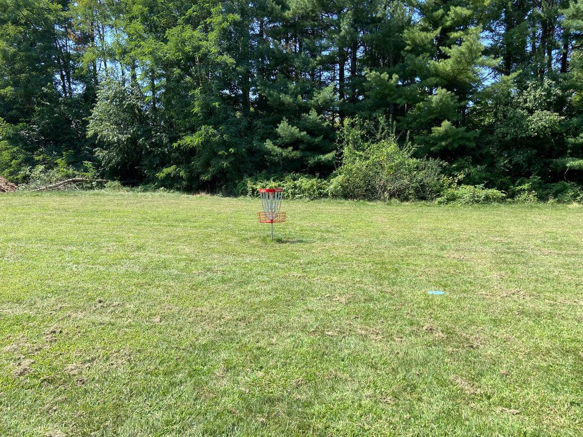 Hole 2’s basket